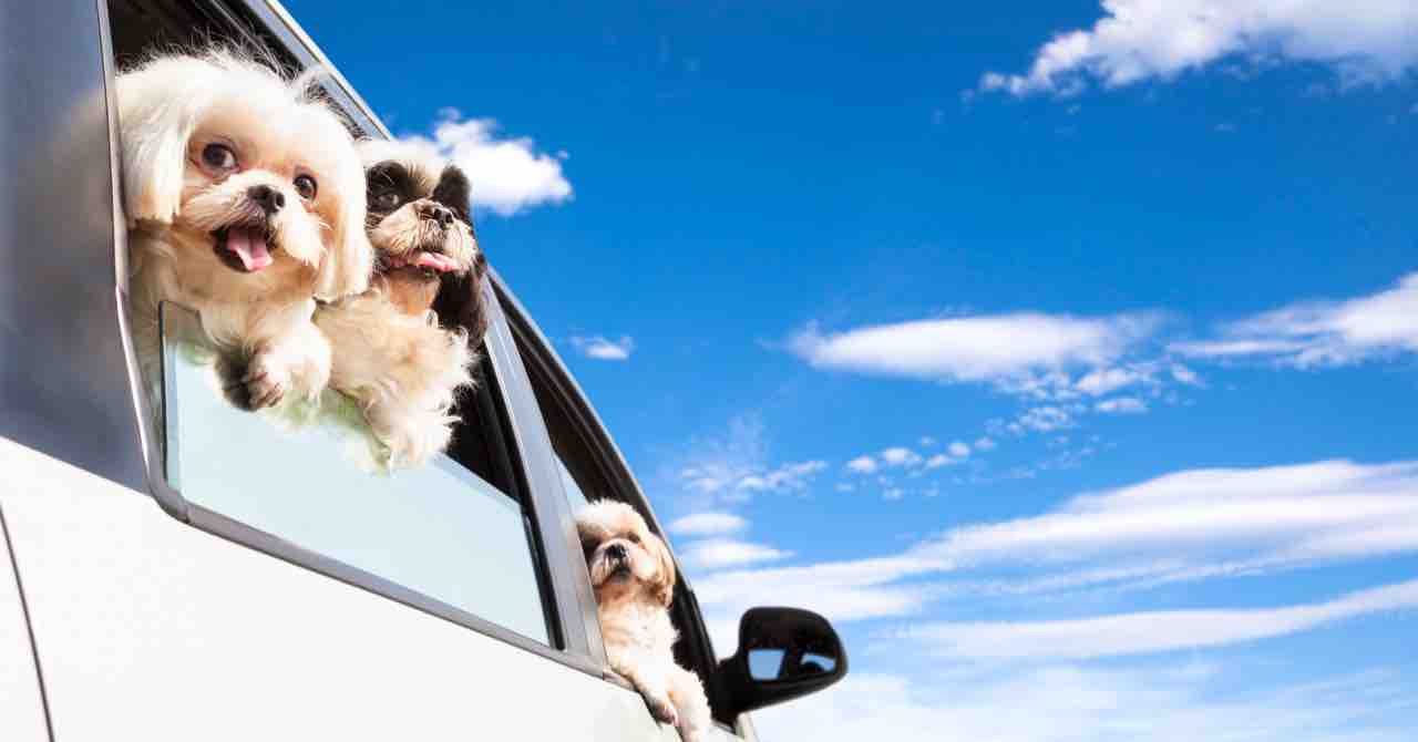 シエンタの口コミ