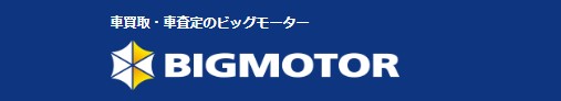 ビッグモーター