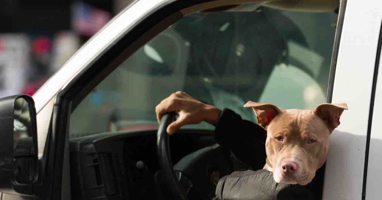 中古車の査定方法