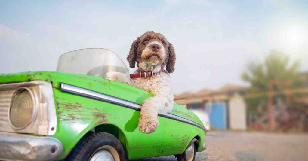 リセールバリューで損をしないためのコツ