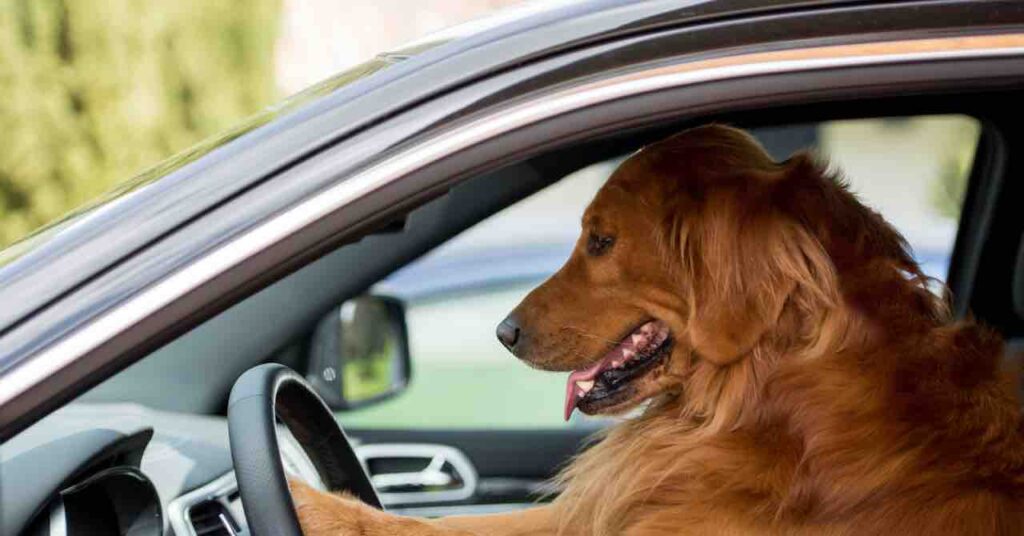 税金がかかるときの計算方法