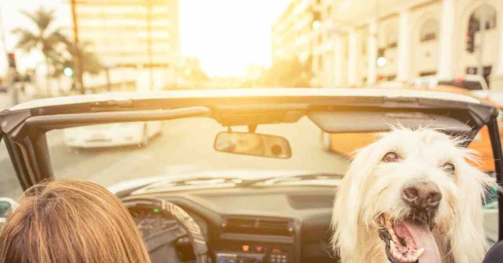 参考になる口コミ評価