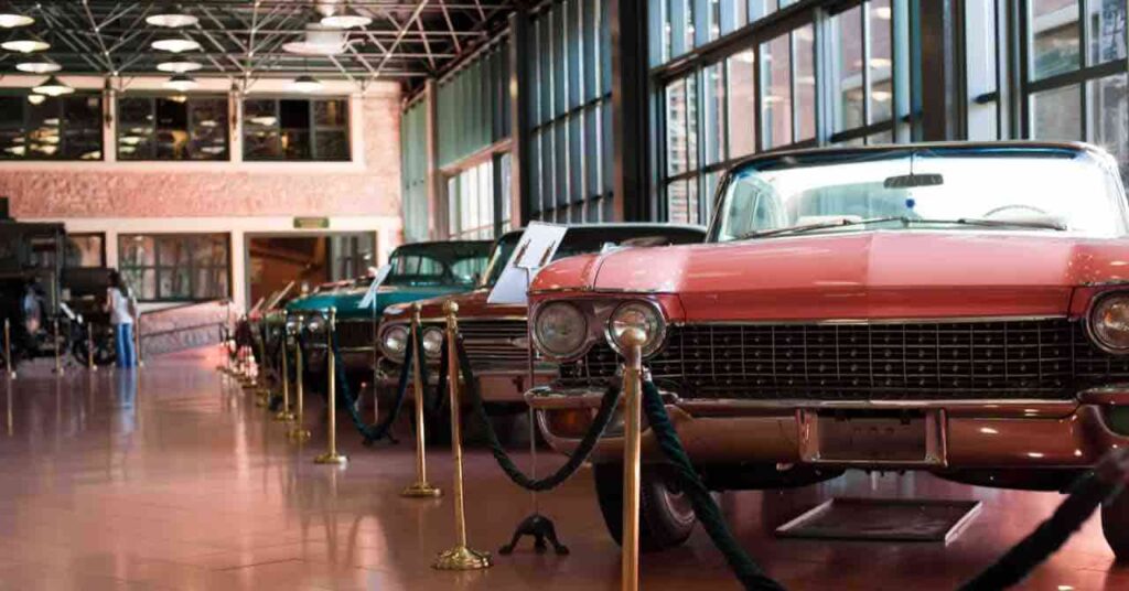 カーネクストの特徴